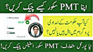 BISP PMT Score Check Online – 8171 Web Portal